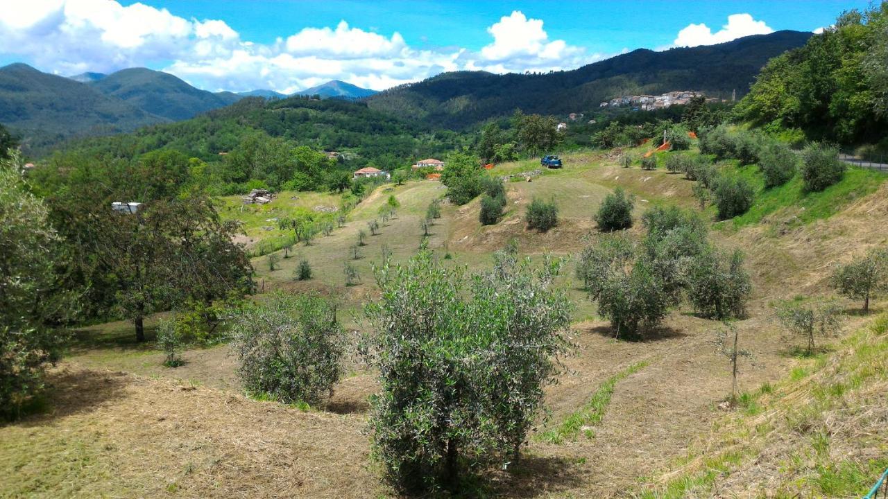 Agriturismo Tenuta Valletti. Sesta Godano Екстериор снимка